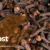 artikel PT. Surya Rempah Adhitama revisi clove